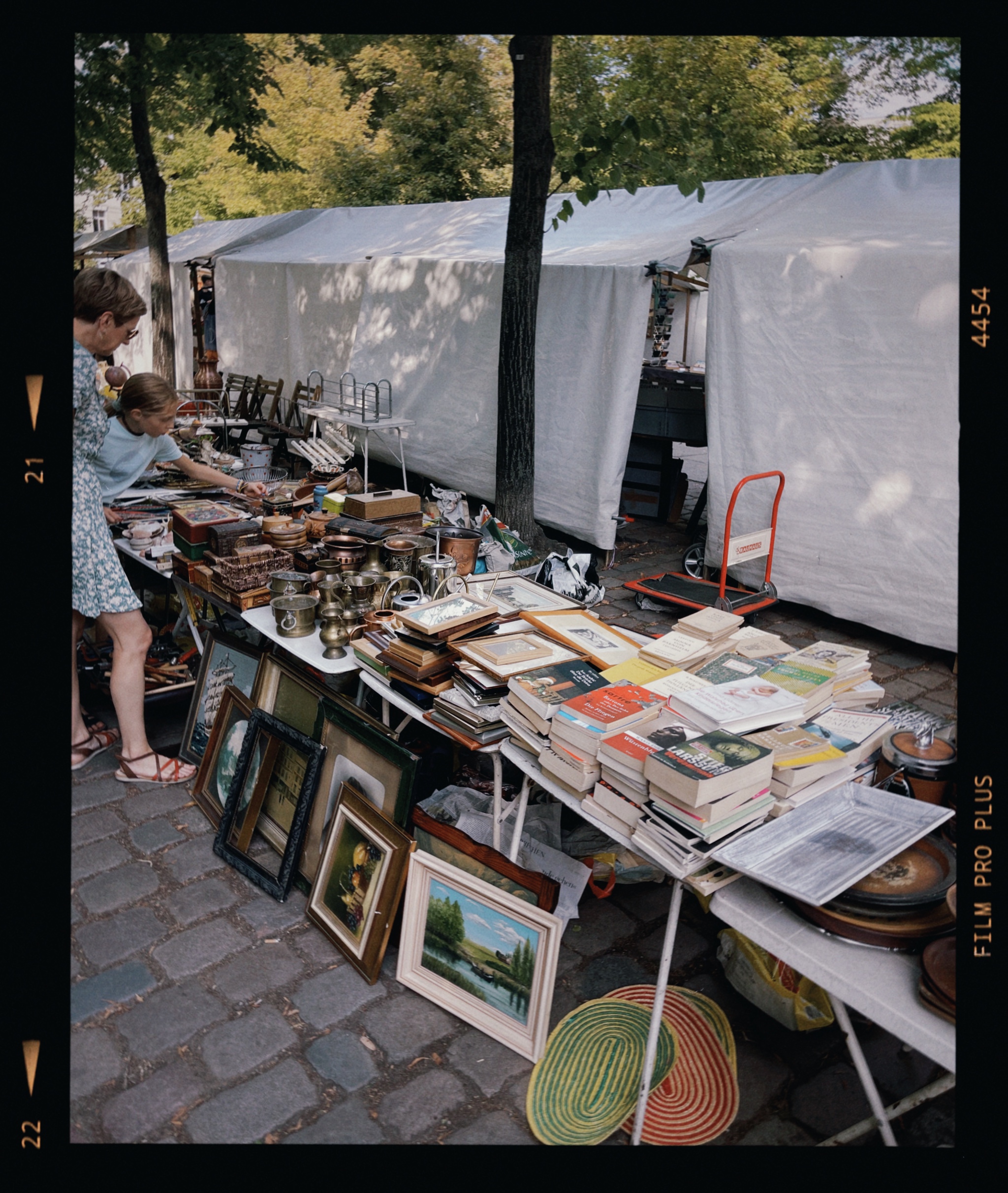 Mehr über den Artikel erfahren Spätsommermelancholie